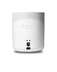 BLUESOUND PULSE M