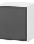 B&W DB4S Subwoofer activo