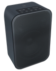 BLUESOUND PULSE FLEX 2i