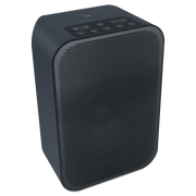 BLUESOUND PULSE FLEX 2i