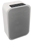 BLUESOUND PULSE FLEX 2i