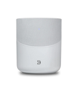 BLUESOUND PULSE M