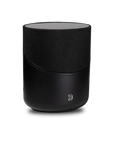BLUESOUND PULSE M