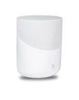 BLUESOUND PULSE M