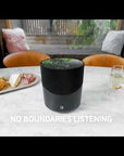 BLUESOUND PULSE M